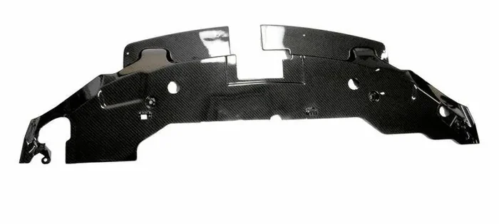 Lethal Performance 2011-2012 Mustang Hydro Carbon Radiator Shroud Cover