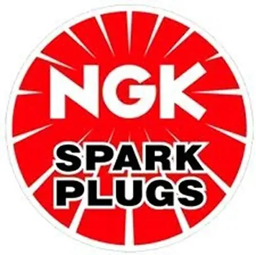 Ngk 9029 Spark Plug